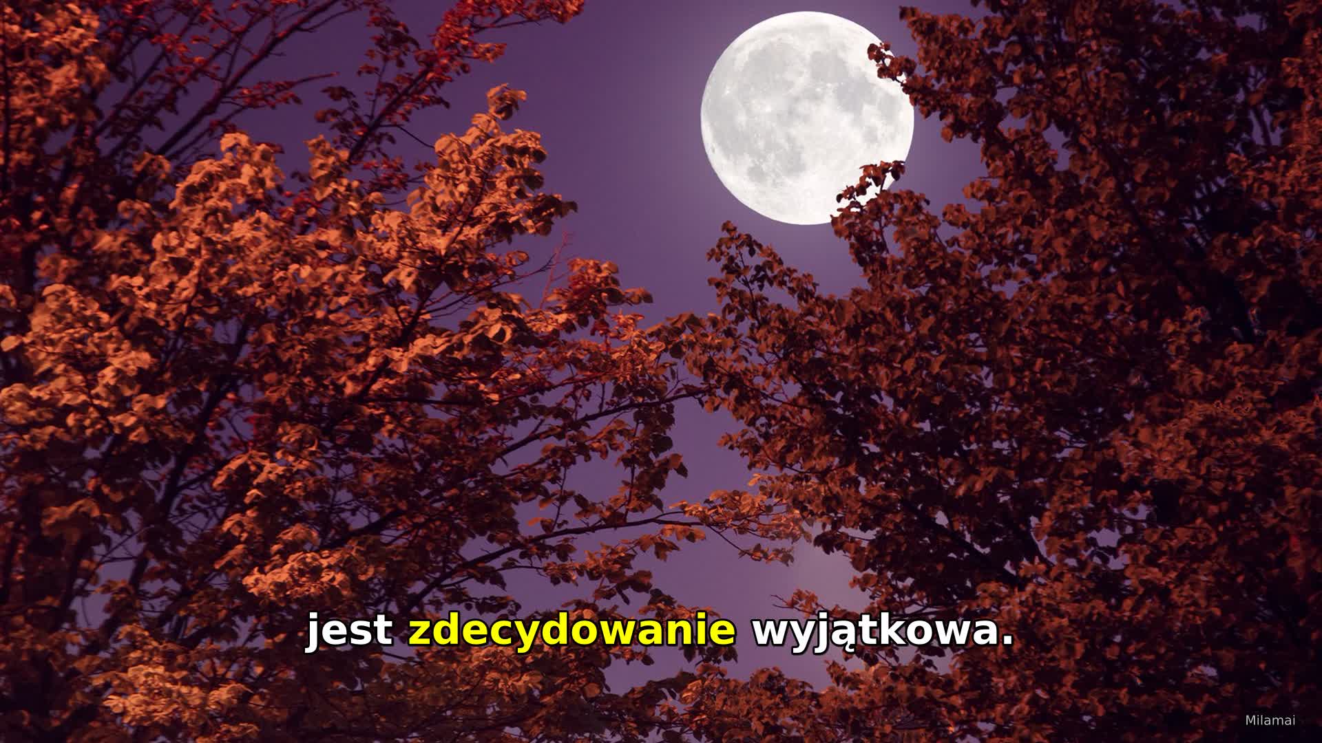 Pełnia Myśliwych w październiku już za chwilę. Ten wieczór sprzyja ważnym decyzjom