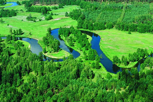 rzeka_krutynia