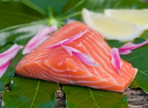 shutterstock_ryba_500x366