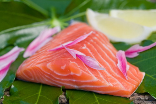 shutterstock_ryba_500x366