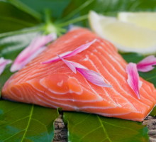 shutterstock_ryba_500x366