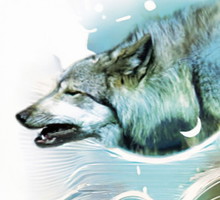 wyobraznia-str-20_d