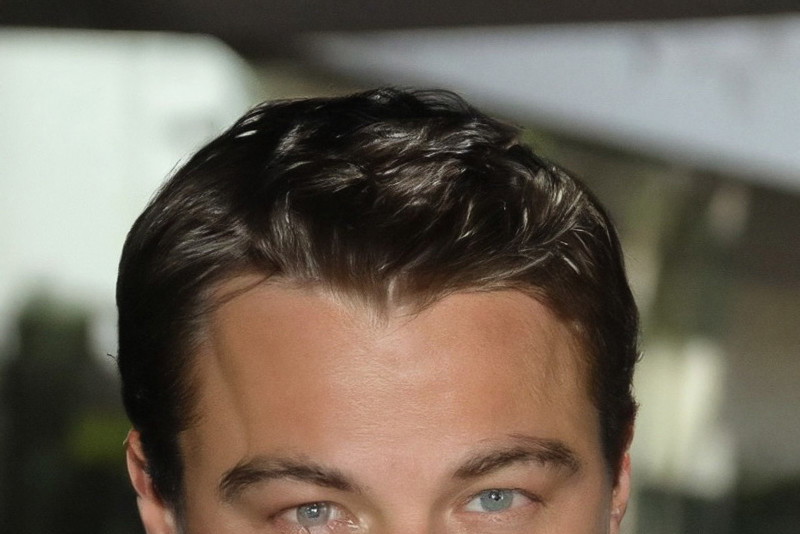 leonardo-ds