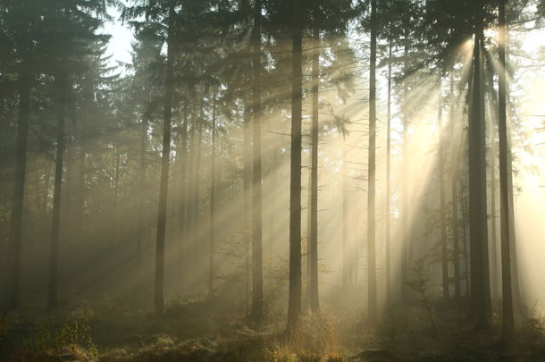 shutterstock_116584897m