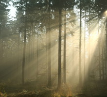 shutterstock_116584897m