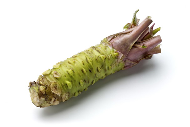 shutterstock_7446251a