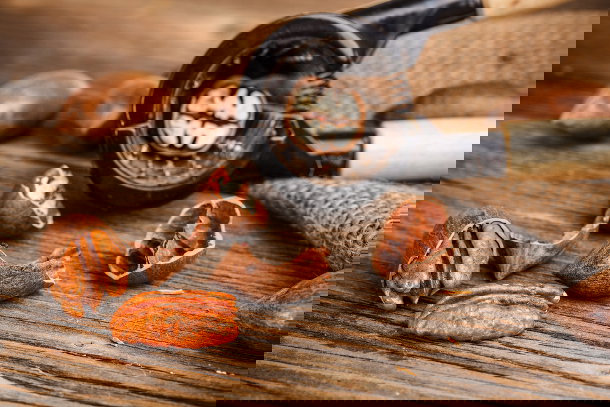 shutterstock_126575846