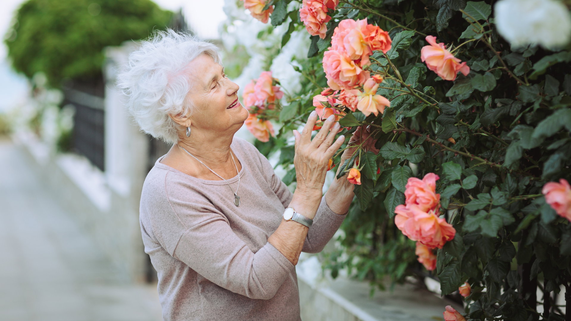 Jak przyciągnąć szczęście i bogactwo? 24 czerwca znajdź tę roślinę, ale uważaj na 1 haczyk