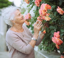 Jak przyciągnąć szczęście i bogactwo? 24 czerwca znajdź tę roślinę, ale uważaj na 1 haczyk
