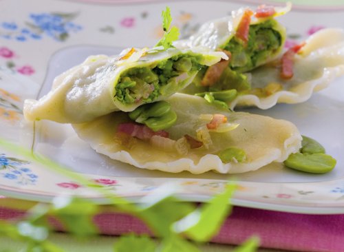 pierogibob
