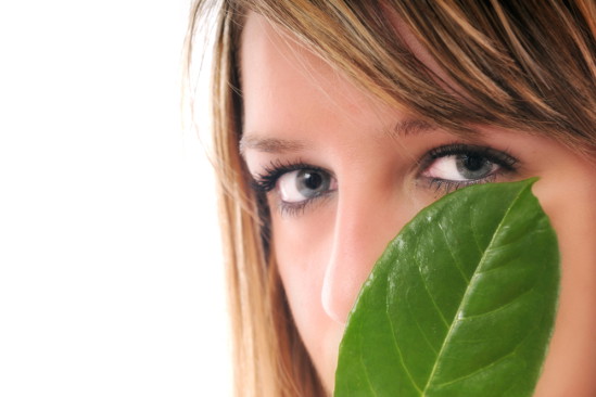 shutterstock_36537319