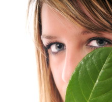 shutterstock_36537319