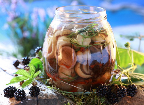 grzyby_marynowane_na_ostro1_Copy