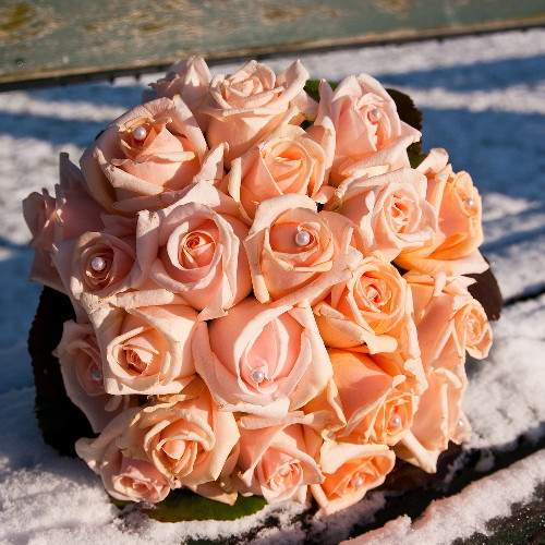 shutterstock_46237828