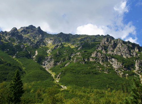 shutterstock_61976974