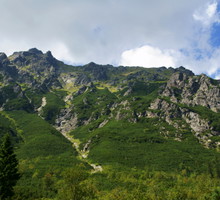 shutterstock_61976974