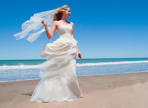 shutterstock_43216585