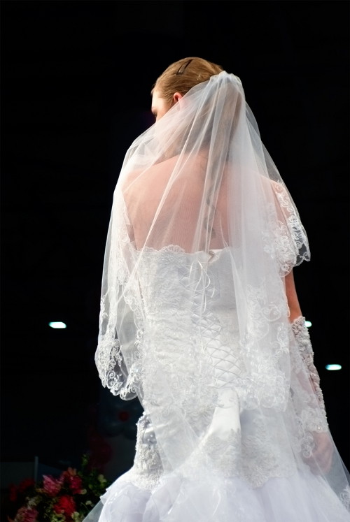 shutterstock_54611344