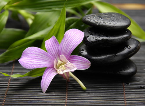 shutterstock_62133439