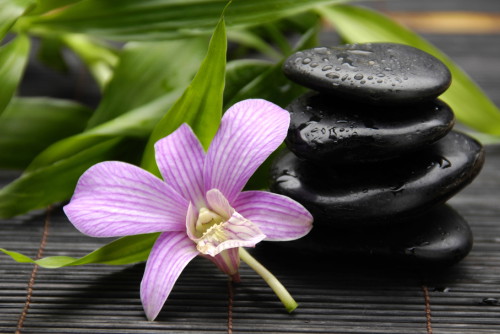 shutterstock_62133439