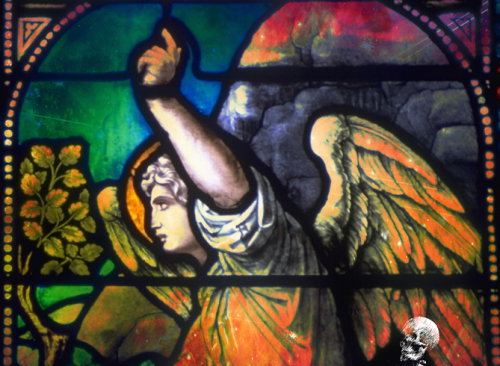 shutterstock_66206884