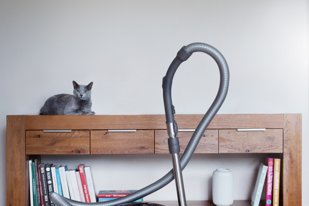 Thomas DryBox AMFIBIA PET