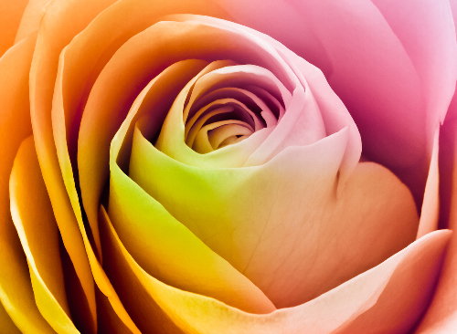 shutterstock_72210682