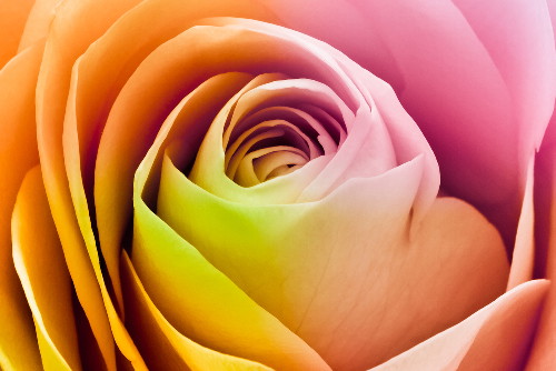 shutterstock_72210682
