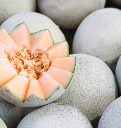 shutterstock_59115745