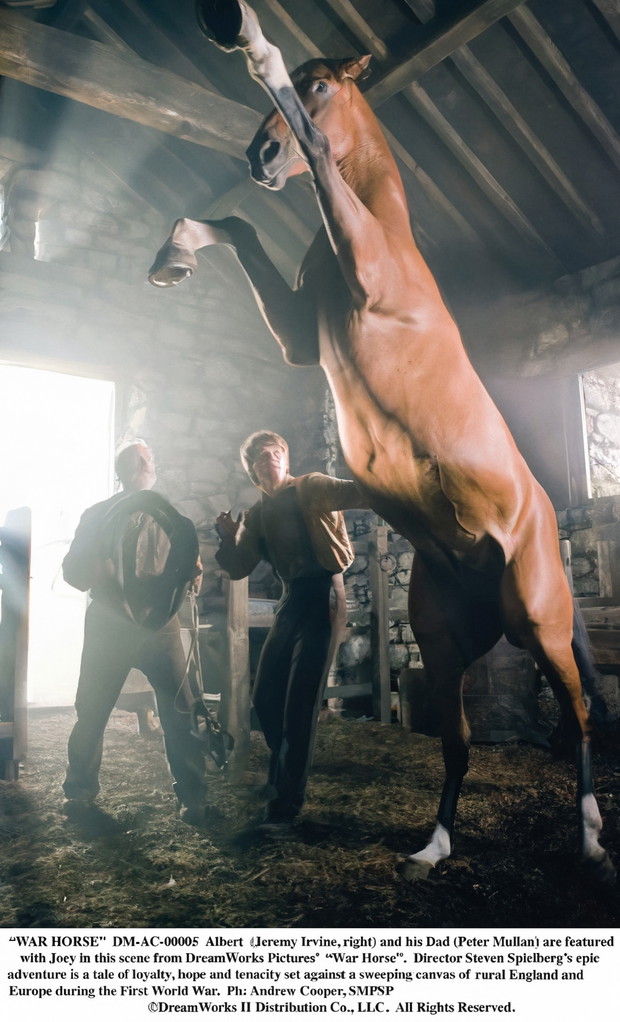 WH_DM-AC-00005.jpg_cmyk