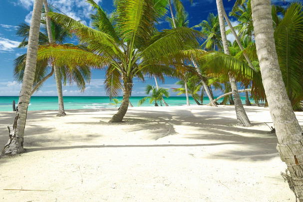 dominicana