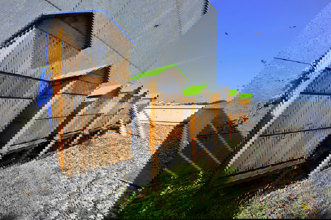 Forum Pszczelarzy Miejskich