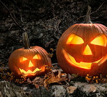 shutterstock_63050779_m