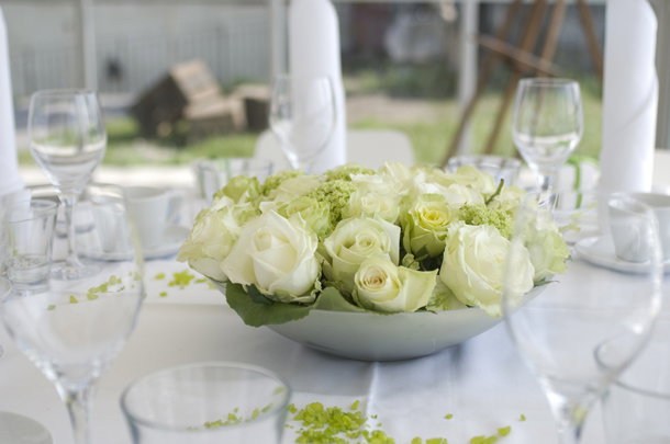 shutterstock_33793363