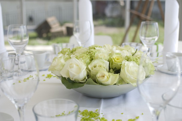 shutterstock_33793363
