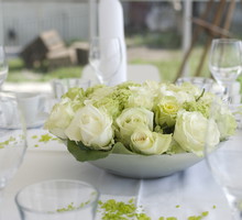 shutterstock_33793363