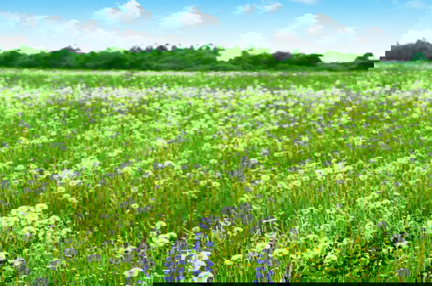 shutterstock_113108134