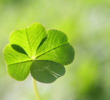shutterstock_106644353m