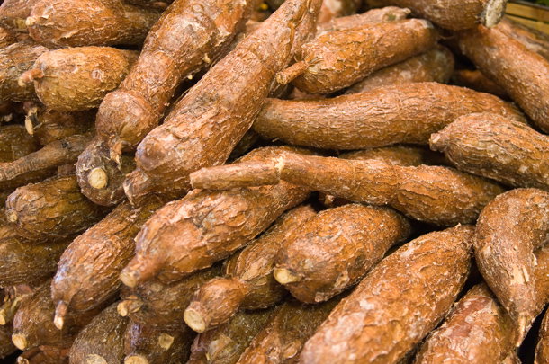 shutterstock_27975023m