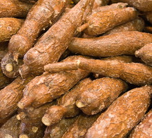 shutterstock_27975023m