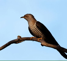 shutterstock_57272833m