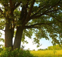 shutterstock_112587962m