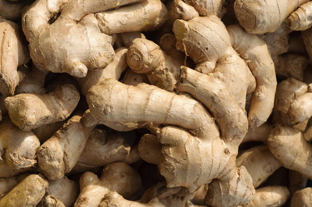 shutterstock_73175089m