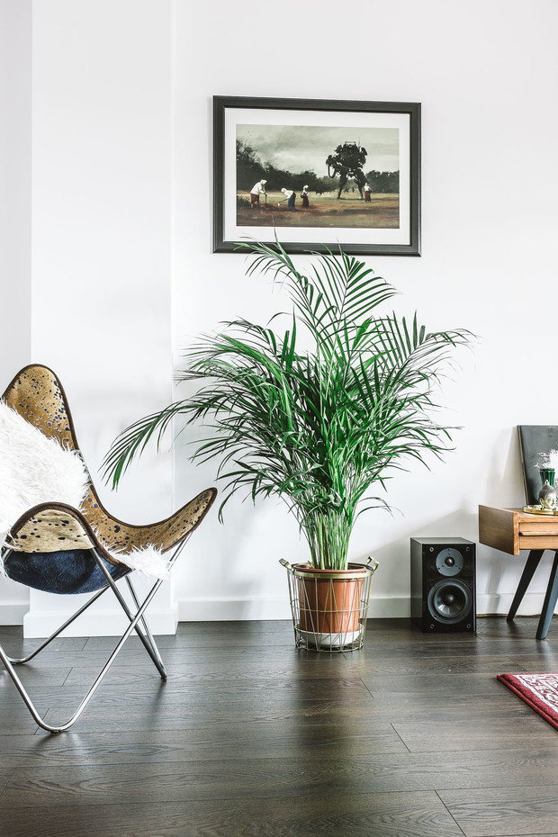 Klimatyczne mieszkanie w Krakowie