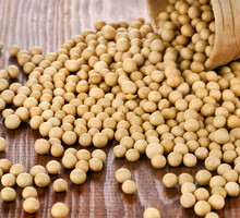 shutterstock_110214473m