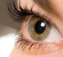 shutterstock_2372779m