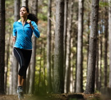 shutterstock_106893050m