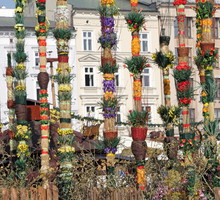 shutterstock_100016540m