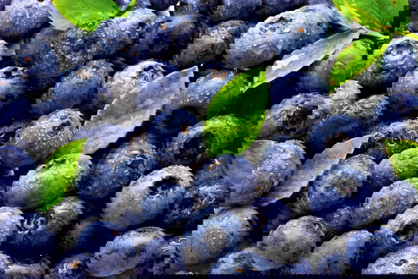 shutterstock_60906745