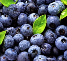 shutterstock_60906745